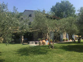Гостиница Casale di campagna tra gli ulivi  Мелиццано